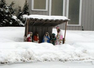 Snowy nativity