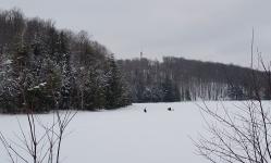 2015 Wisconsin Christmas