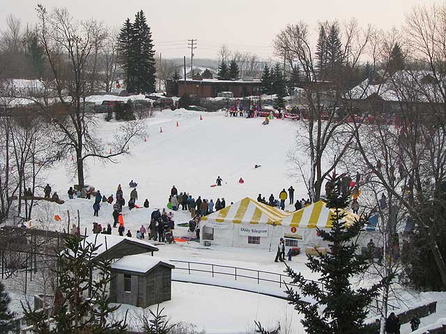 sledding at the zoo